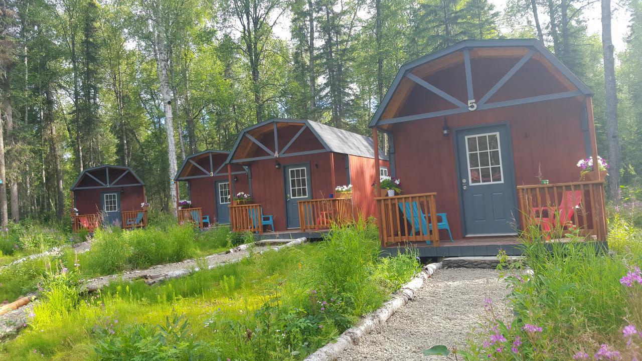 Dfa Cabin Rentals Talkeetna Extérieur photo