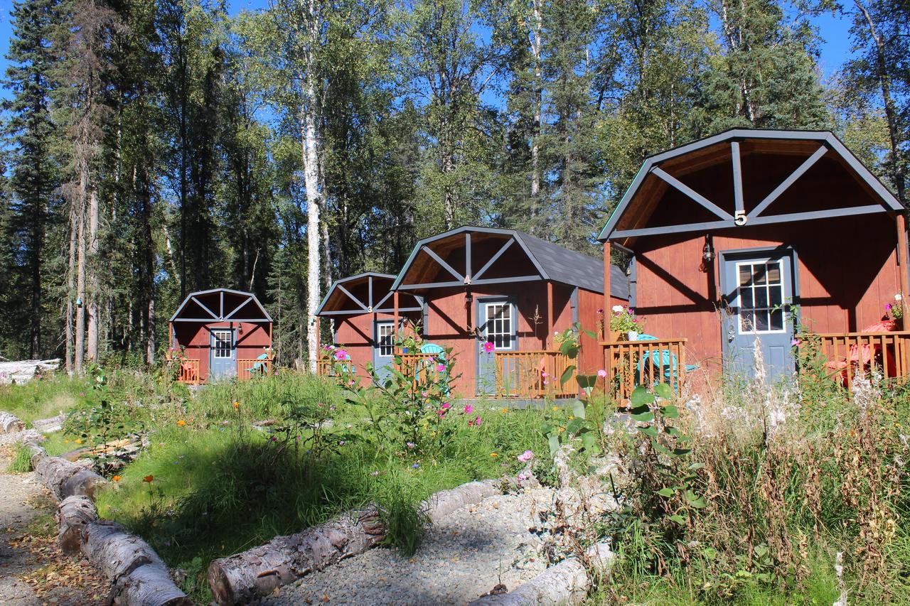 Dfa Cabin Rentals Talkeetna Extérieur photo
